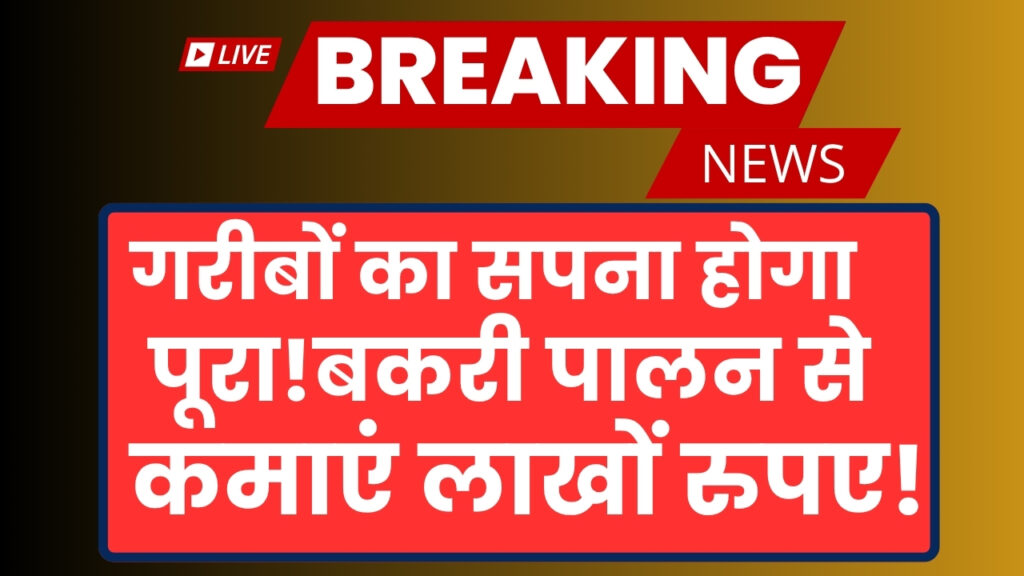 Bakri Palan Business Loan 2025