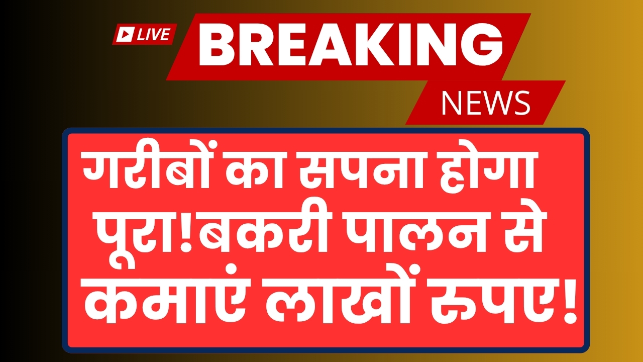 Bakri Palan Business Loan 2025