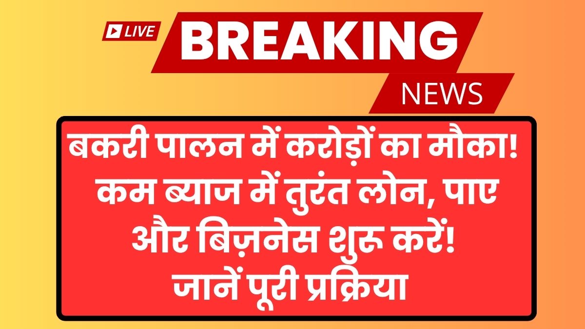 Bakri Palan Business Loan Yojana 2025